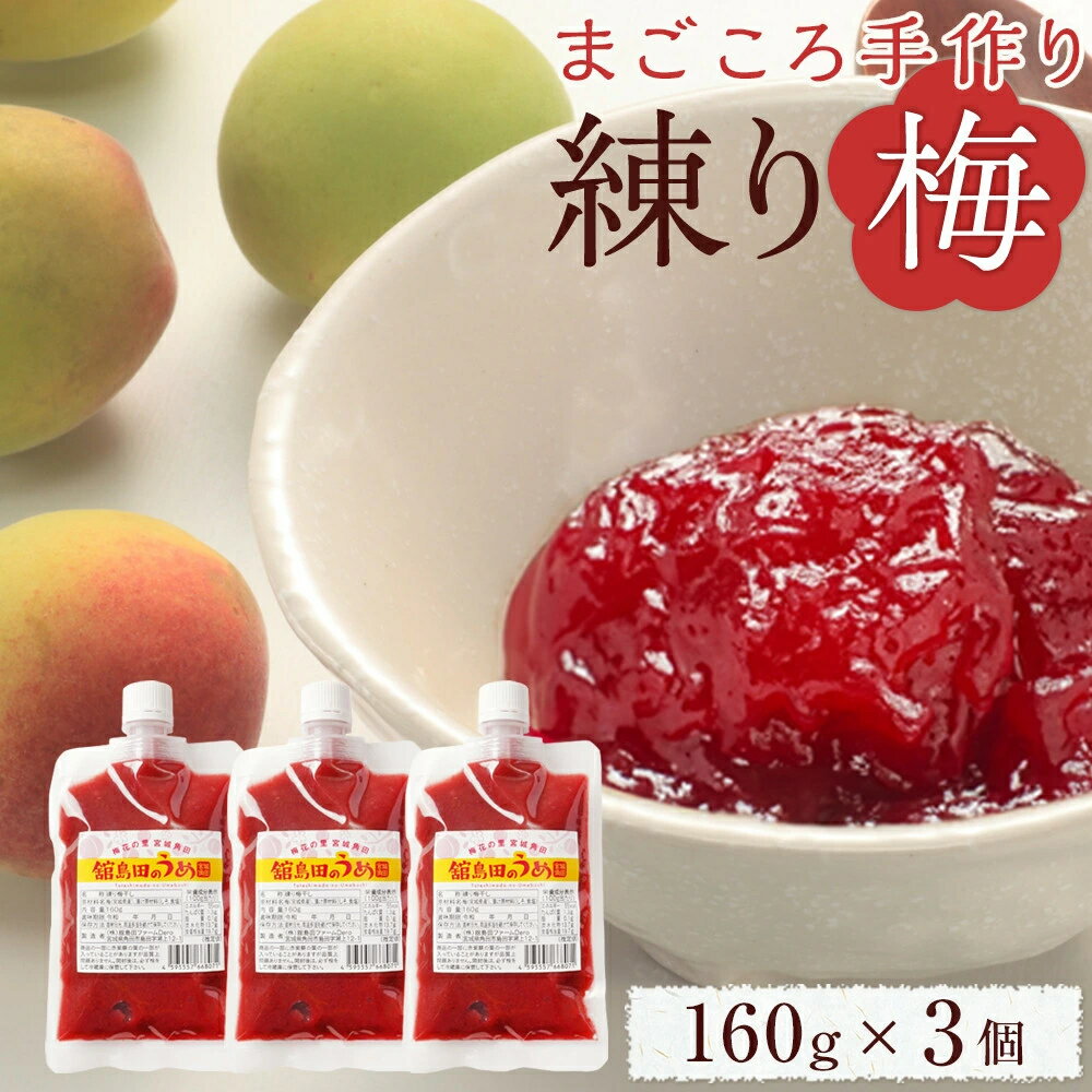 まごころ手作り 練り梅 無添加 宮城県産 160g×3個 手作り 梅干 梅干し うめぼし うめ干し 塩分15%～18%..