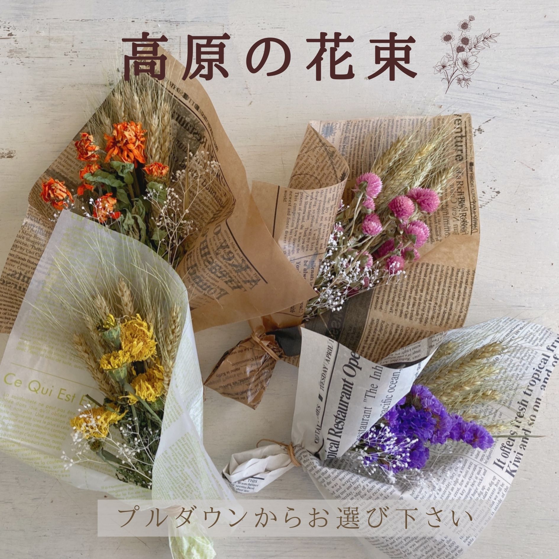 楽天市場 1000円ポッキリ 送料無料 店長おすすめのドライフラワー 高原の花束 お得な花材の詰め合わせ プチギフト 花束 プレゼント インテリア フラワー ギフト 誕生日 お祝い 結婚祝い おしゃれ アイテム 女性 人気 ナチュラル 蓼科プランツ 楽天市場店 女性