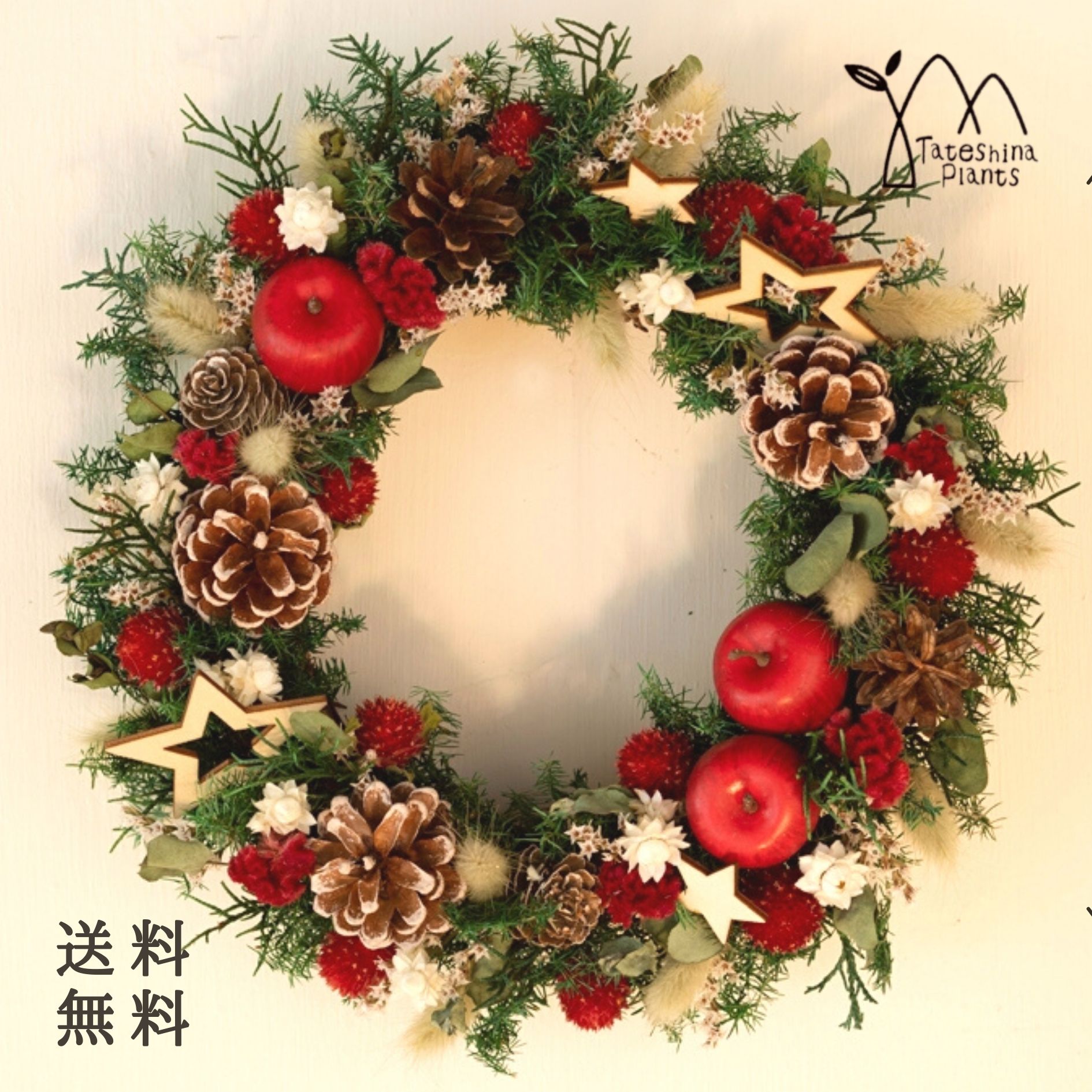 楽天蓼科プランツ　楽天市場店クリスマスリース プレゼント 送料無料 ドライフラワー インテリア 人気 フラワーリース おしゃれ ナチュラル お花 「クリスマスリースMリンゴ」 ギフト 壁飾り お誕生日 お祝い