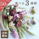 【スーパーSALE 50%OFF】ドライフラワー スワッグ 花束 インテリア ブーケ ギフト 誕生日 ちょっとした プレゼント 退職祝い 新築祝い 送別 あす楽13時 「高原スワッグS」 自社農園 産地直送 選べる3種 おしゃれ ナチュラル 蓼科高原 壁掛け リビング
