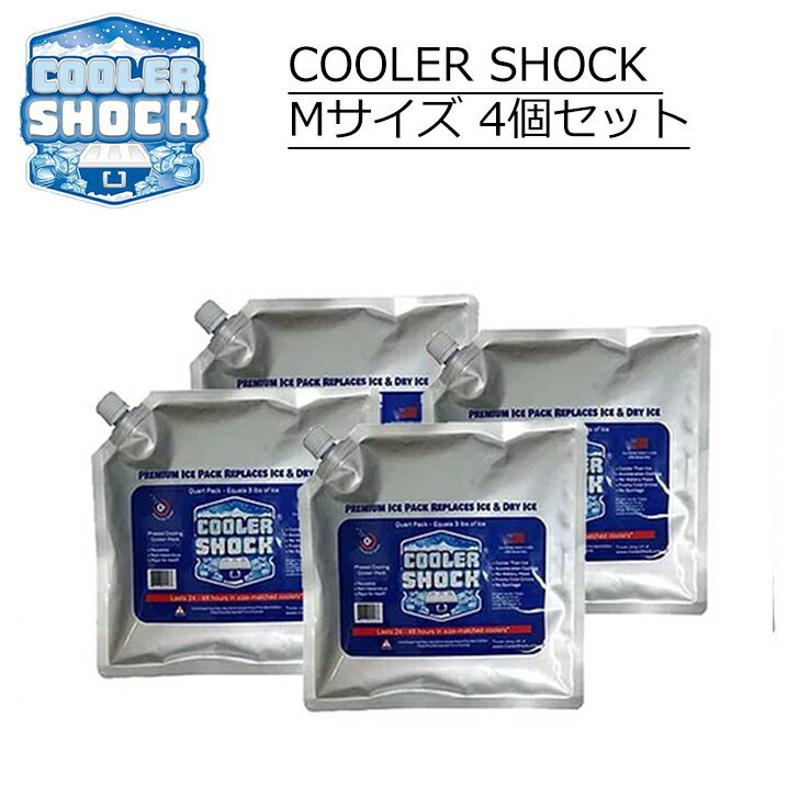 COOLER SHOCK クーラーショック 