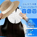 【先着300名限定早割5%OFF+P10倍】【2点ご購入15%OFF 】冷感 ハットピロー 帽子用保冷剤 帽子 保冷剤 熱中症対策 暑さ対策 スポーツ クール ...
