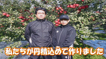 【送料無料】 りんごジュース ギフト・無加水、無添加りんご果汁100%ジュース 青森県産完熟リンゴジュース! 御中元 お中元 ギフト お返し 内祝い 快気祝い 出産内祝い 結婚内祝い !