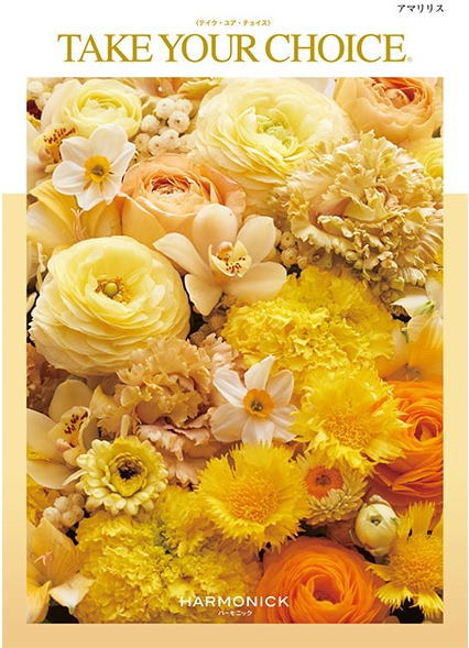 カタログギフト　テイクユアチョイス「アマリリス」　紙袋サービス　ラッピング　のし紙（表書き名入れ..