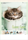 カレンダー 2026 壁掛け 猫 ねこ おしゃれ 2026年 カレンダー 壁掛け ラヴキャット レイチェルヘイル作品集 写真 ネコ インテリア 令和8年