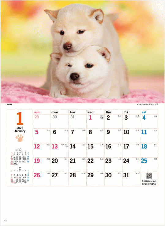 カレンダー 2024 壁掛け 犬 小 コンパクトサイズカレンダー　2024年カレンダー 　令和6年　壁掛けカレンダー　犬カレンダーのサムネイル