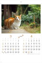 カレンダー 2025 壁掛け 猫 2か月 猫さんぽ 令和7年 コンパクトサイズ カレンダー 小