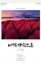 カレンダー 風景 川隅功作品集 やすらぎへの誘い 特大サイズフィルムカレンダー 令和7年 カレンダー 2025年カレンダー カレンダー2025 壁掛けカレンダー...