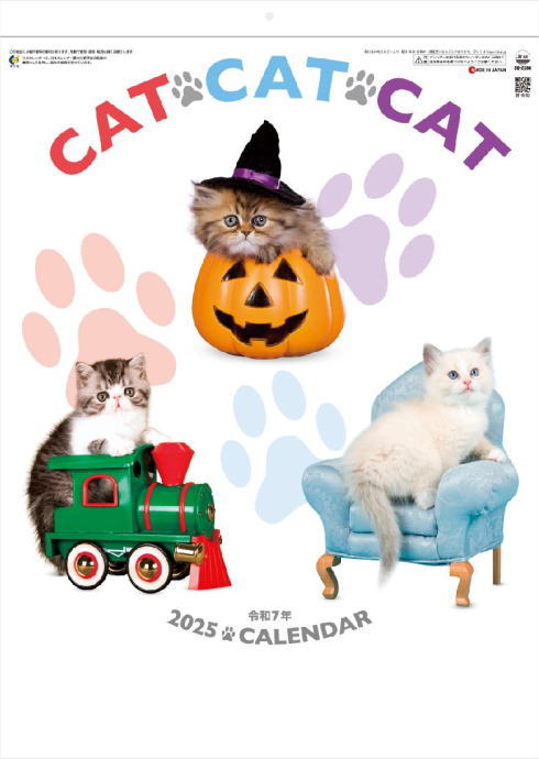 ɳݤǭ襤CATCATCATͤ 2025ǯɳݤ