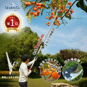 \楽天1位 高評価/ 「お買い物マラソンポイント5倍」 高枝切りバサミ 最長3m 超軽量 伸縮式 ノコギリ付き 切ってつかめるハサミ 3段 5段 剪定鋏 伸縮高...