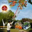 \楽天1位 高評価/ 高枝切りバサミ 最長3m 5m 2m 超軽量 伸縮式 ノコギリ付き 切ってつかめるハサミ 3段 5段 7段 剪定鋏 伸縮高枝切り鋏 2m ...