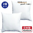 日本製 2個セット ヌードクッション 45x45 クッション 中身 中材 無圧縮 ふんわり ボリューミー 45 45 洗える ホコリが出にくい 正規品 清潔 セアテクッション