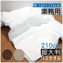 【同色10枚セット】 大判 特大 バスタオル 送料無料 綿100% 120×210cm 厚手 超大判 超特大 カラー レピア織 スレン染め 業務用タオル 施術台用 シーツ ソファカバー 短いパイル 耐久性 ほつれにくい 丈夫 長持ち 摩擦に強い ダークブラウン モカ 白 くすみカラー