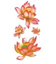 tuzuru タトゥーシール ステッカー ボディペイント tatoo 花 フラワー 防水 9×19cm 3枚セット おまけ付 送料無料 ポスト投函 C8