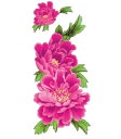 tuzuru タトゥーシール ステッカー ボディペイント tatoo 花 フラワー 防水 9×19cm 腕 足 背中 3枚セット おまけ付 送料無料 ポスト投函...