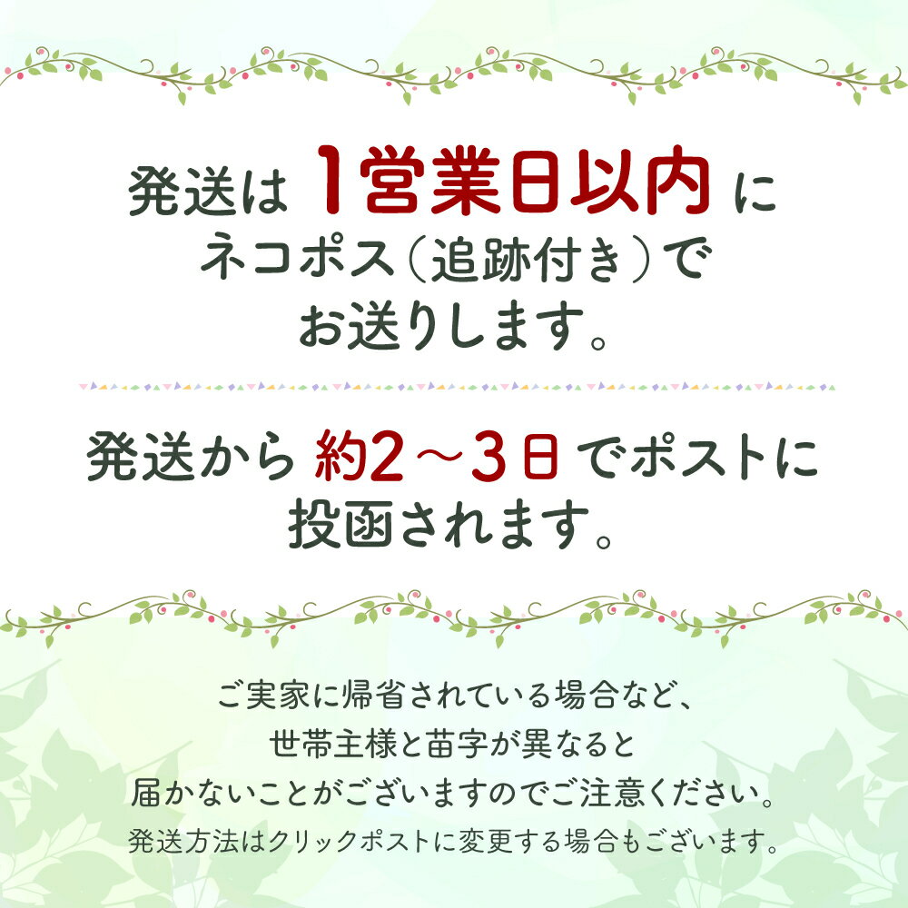 ジャグアタトゥーシール 8枚セット 2週間持続 ジャグアタトゥー ヘナタトゥー タトゥーシール トライバル 花 イベント ハロウィン リアル フェイクタトゥー 和彫り おしゃれ 11x18cm B