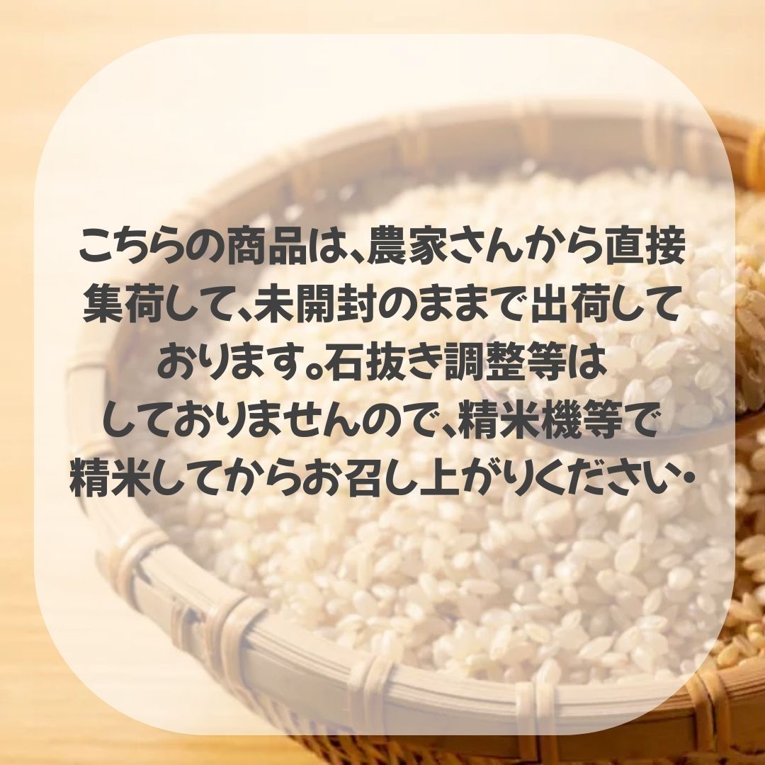 ポイント2倍【送料無料】令和7年度米新潟県産コシヒカリ 玄米30kg