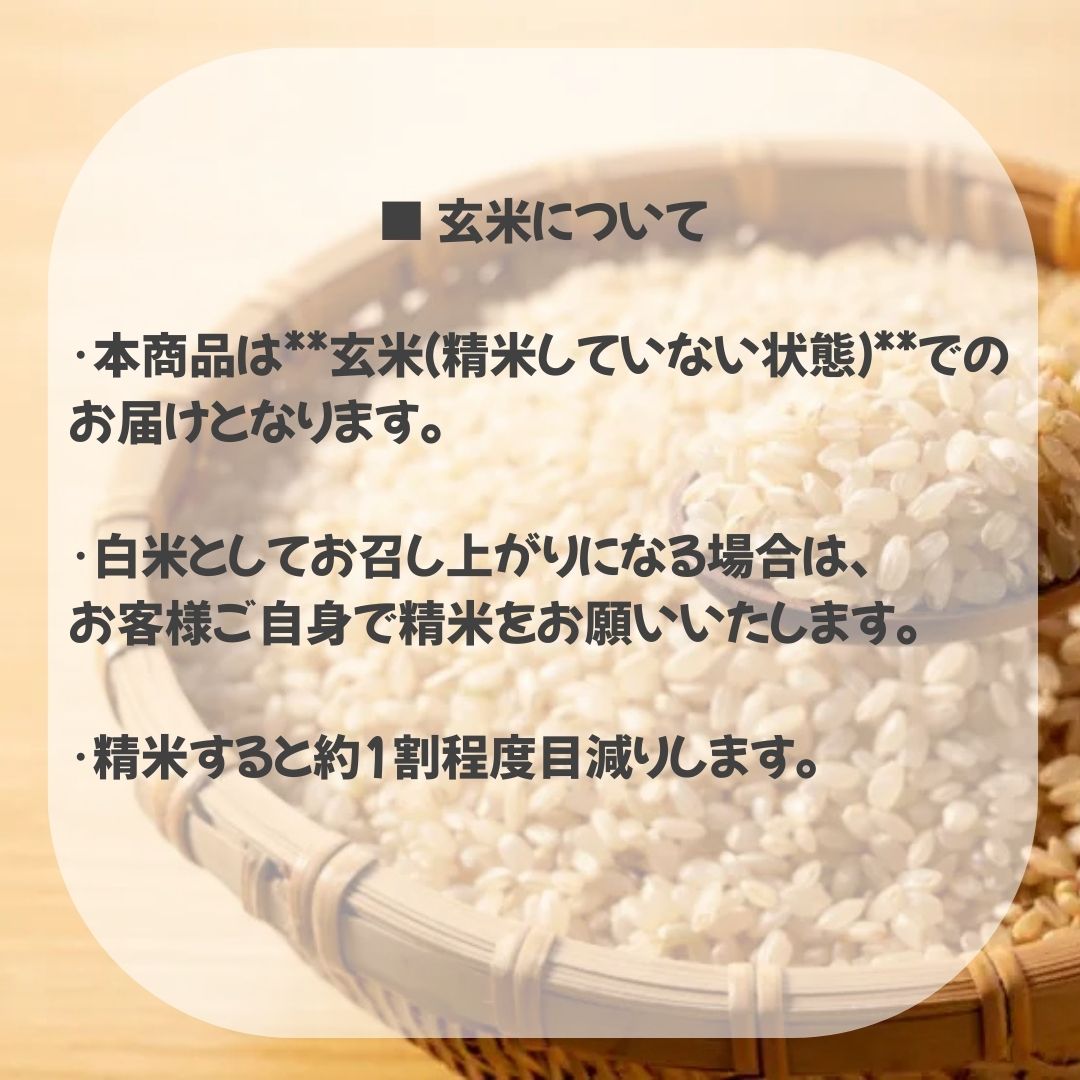ポイント2倍【送料無料】令和7年度米新潟県産コシヒカリ 玄米30kg