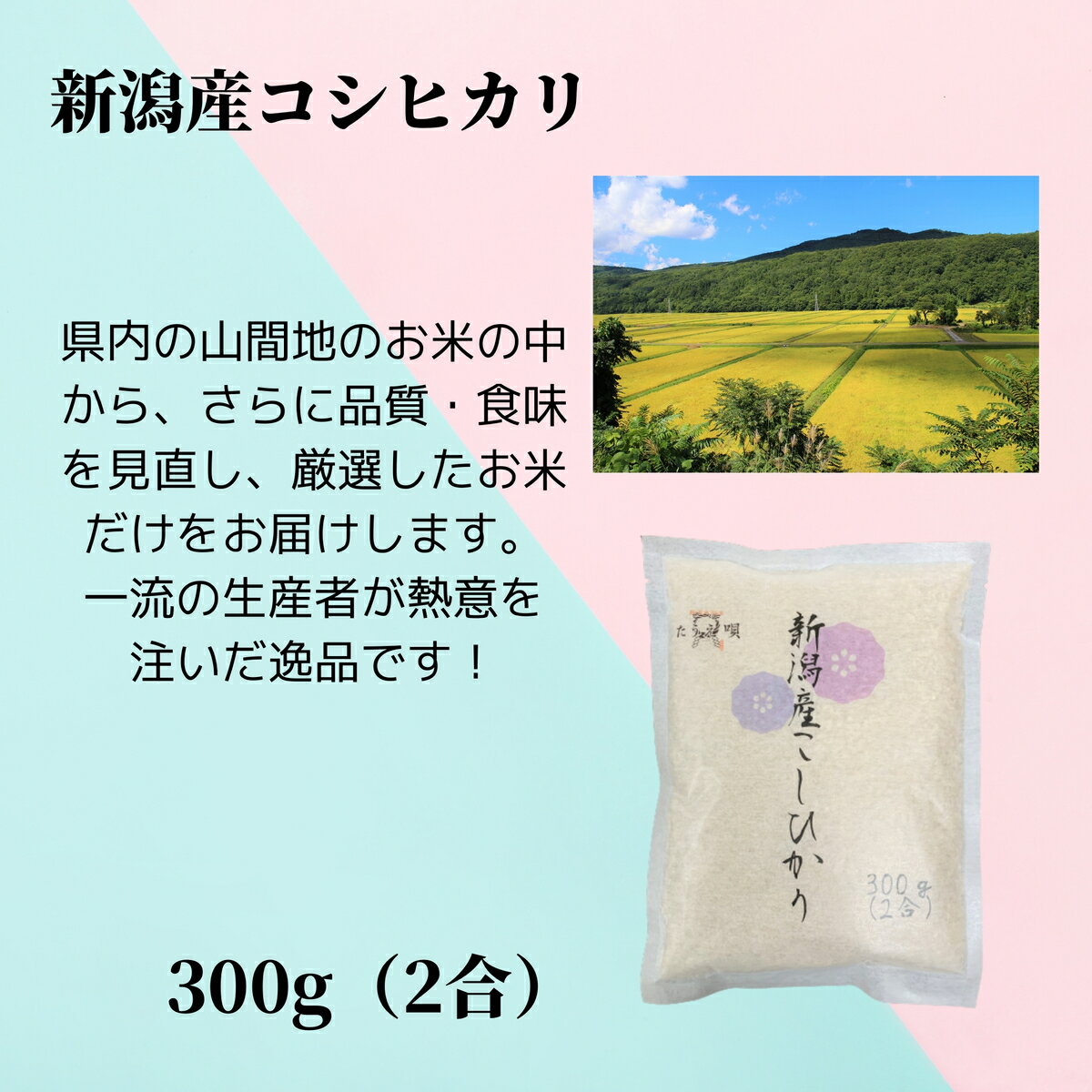 サンプル画像2