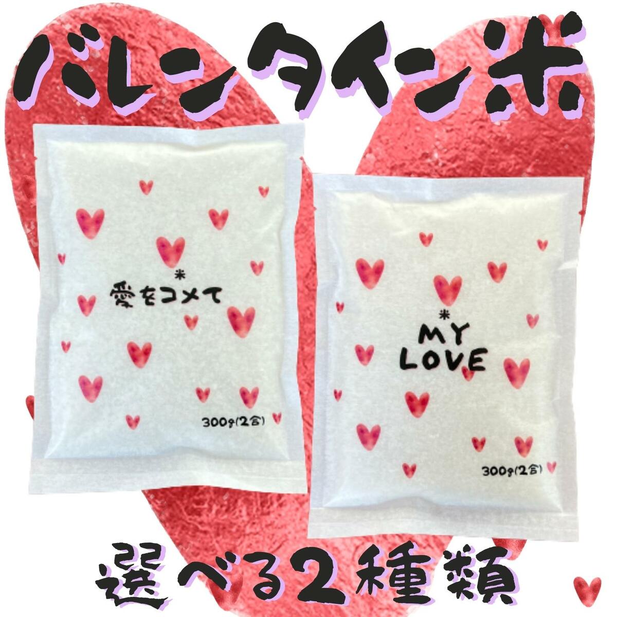 米 ギフト【愛をこめて】新潟産こしひかり　300g（2合）送料無料　ポイント払い