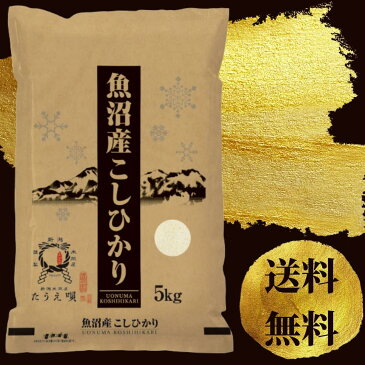 魚沼産コシヒカリ　5kg　送料無料　令和3年産　魚沼産こしひかり　一等米　期間限定　お米/米【特A/一等米】ブランド米　新潟から産直販売【お祝/ギフト】　5kg　精米　新潟直送　父の日　プレゼント