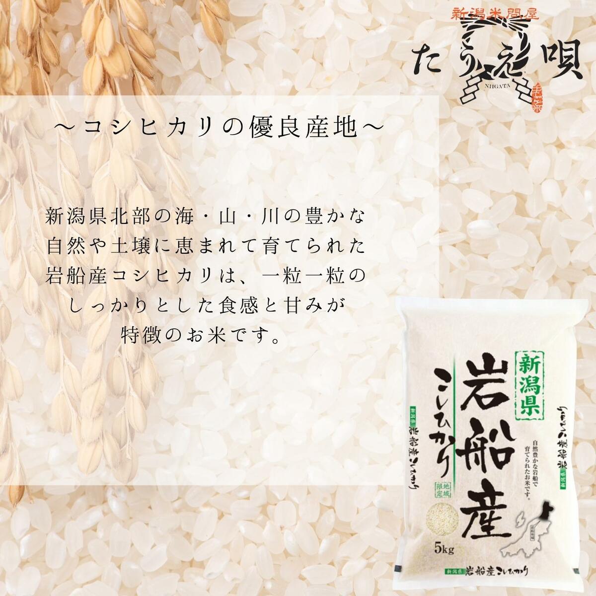 SALE中　令和7年　岩船産こしひかり　20kg（5kg×4）送料無料　米/お米 20kg 　米/こめ/ギフト/プレゼント 贈り物　新潟　産直 こしひかり　白米　精米　美味しいお米　新潟産米 taueuta-10000057 新潟米問屋「たうえ唄」 サンプル画像2