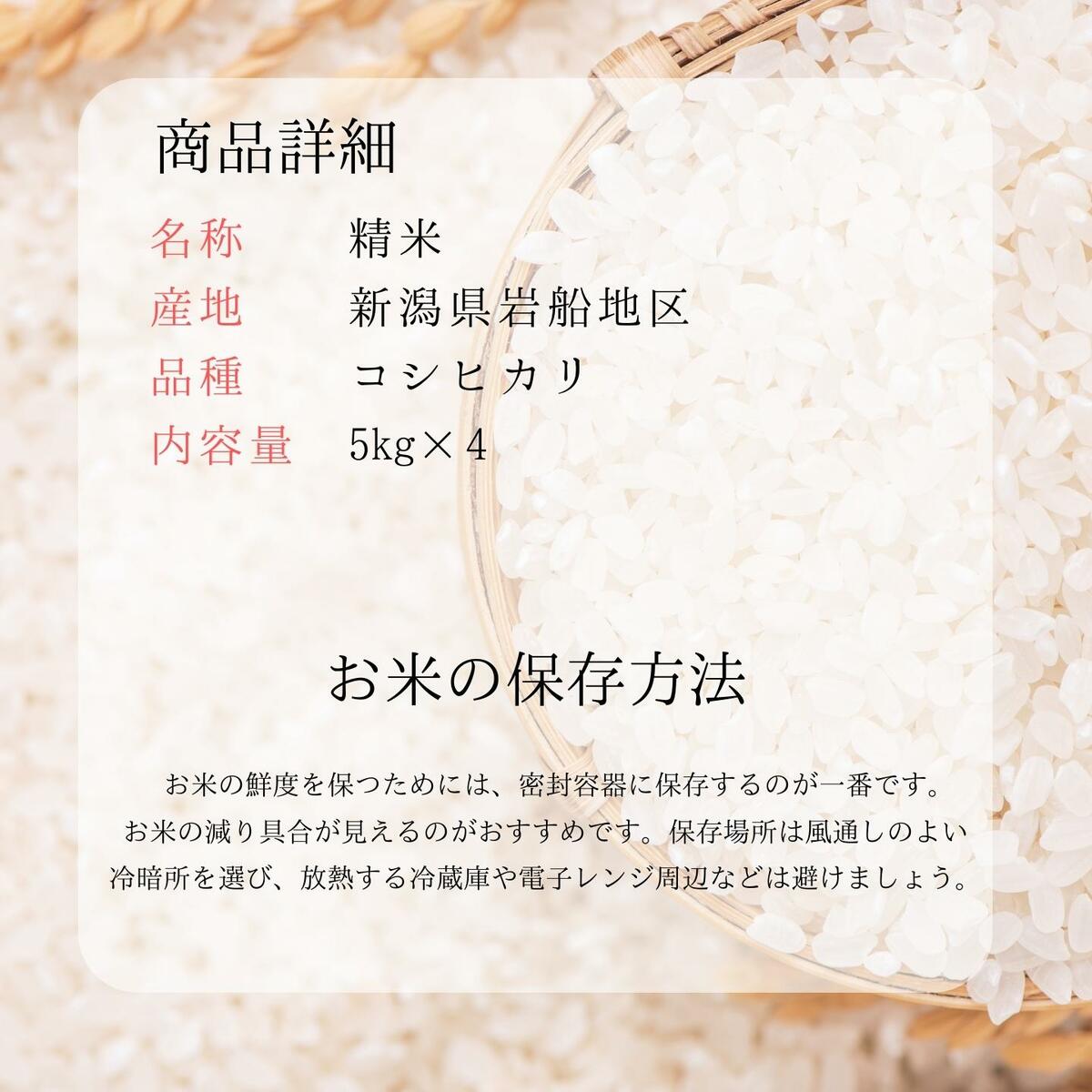 SALE中　令和7年　岩船産こしひかり　20kg（5kg×4）送料無料　米/お米 20kg 　米/こめ/ギフト/プレゼント 贈り物　新潟　産直 こしひかり　白米　精米　美味しいお米　新潟産米 taueuta-10000057 新潟米問屋「たうえ唄」 サンプル画像3