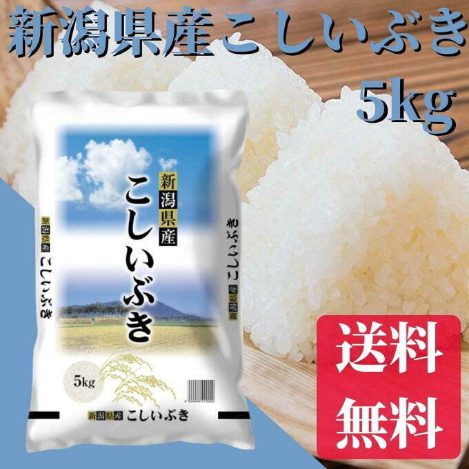 【当店バナーエントリーでポイント10倍】米/お米　5kg　送料無料　令和4年産 　新...