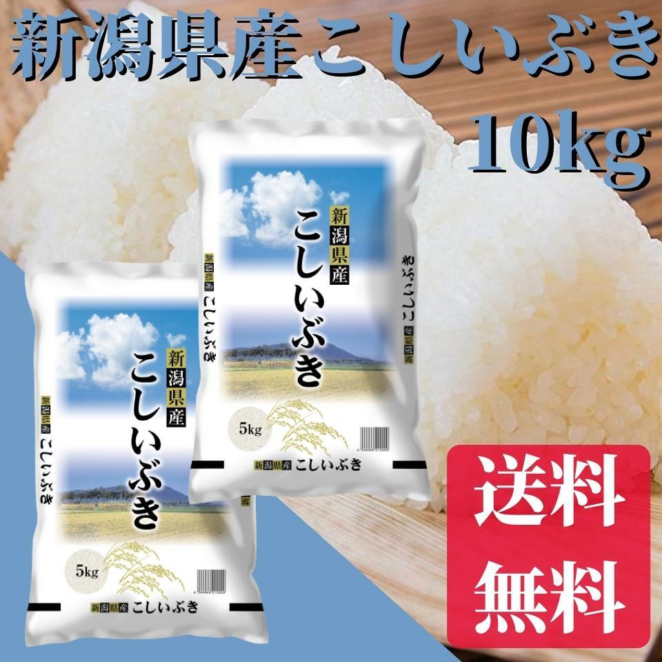 新潟県産こしいぶき　10kg（5kg×2）新潟　米/お米/白米　送料無料　令和3年産【特A/一等米】新潟から産直販売【安心安全米】