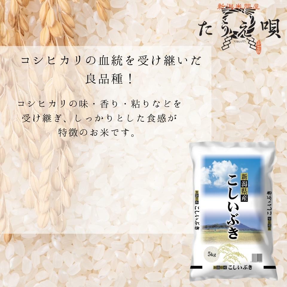 コシヒカリの味・香りを受け継いだ良品種！　新米　令和7年産　10kg　送料無料　新潟県産こしいぶき　10kg（5kg×2）【メーカー直送】新潟　米/お米/白米　送料無料　新潟から産直販売【安心安全米】