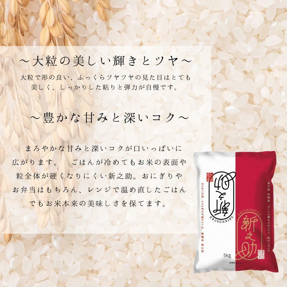 新米　新之助　ブランド米　令和5年産 　新潟産新之助 5kg　送料無料　米/コメ/こめ　ギフト/プレゼント/贈り物　産地直送/直送