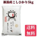 新潟産コシヒカリ 5kg　送料無料　コシヒカリ/こしひかり　米/コメ/こめ　ギフト/プレゼント/贈り物　ブランド米　産地直送/直送