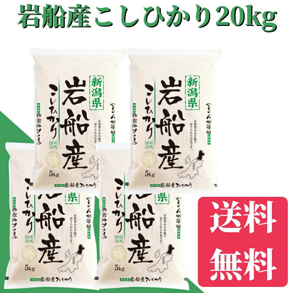 乐天商城 - 米　令和7年　岩船産こしひかり　20kg（5kg×4）送料無料　米/お米 20kg 　米/こめ/ギフト/プレゼント 贈り物　新潟　産直 こしひかり　白米　精米　美味しいお米　新潟産米