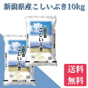 米　10kg　送料無料　新潟県産こしいぶき　10kg（5kg×2）新潟　米/お米/白米　送料無料　令和5年産　新潟から産直販売