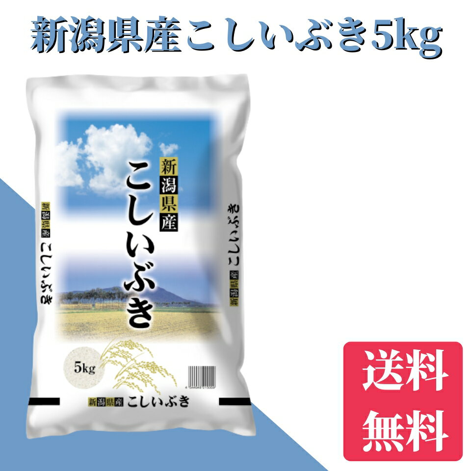 新米　5kg　送料無料　