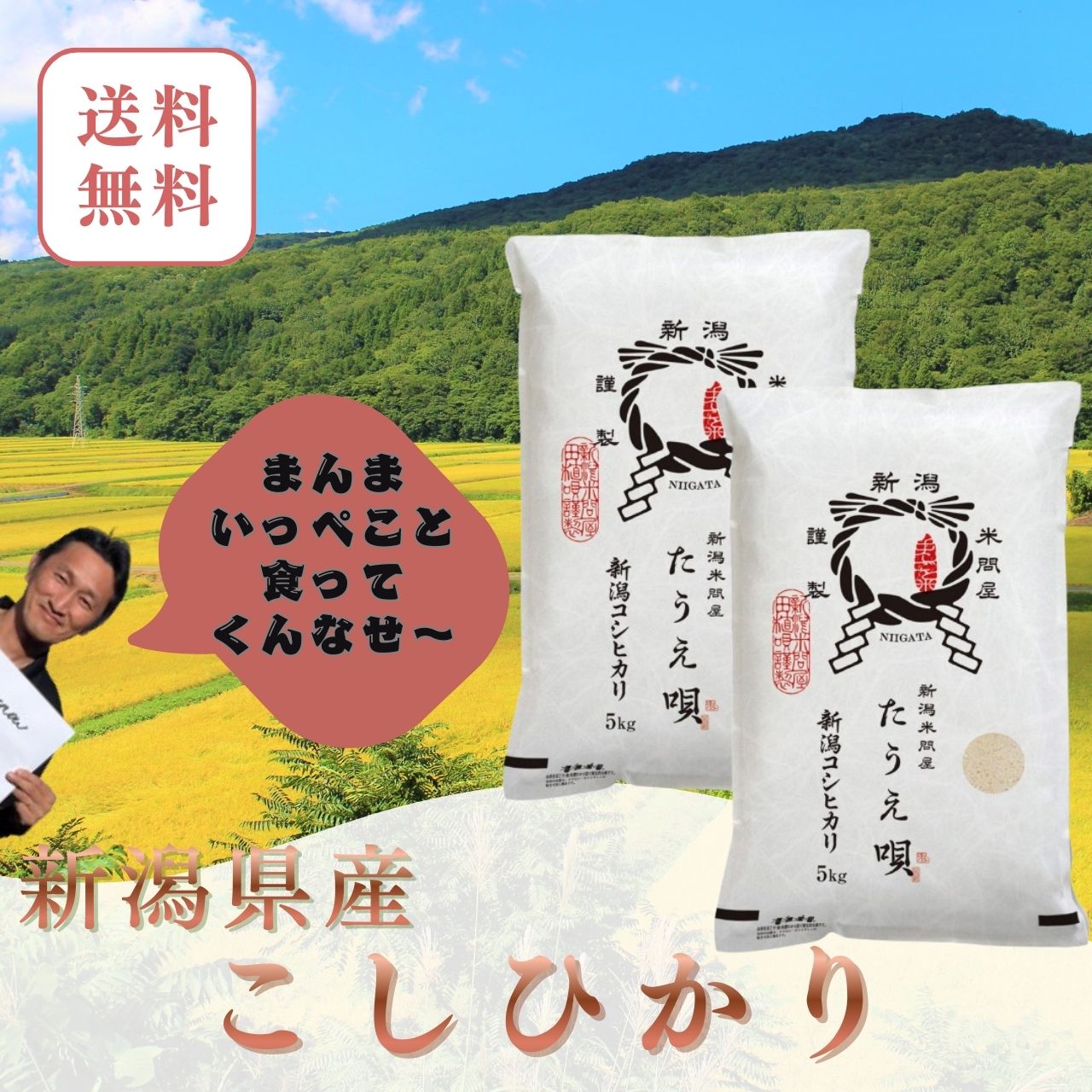 Rakuten - 米　令和7年　10kg　送料無料　新潟産こしひかり　10kg（5kg×2）【メーカー直送】送料無料　米　お米　白米　ブランド米　新潟から産直販売　お祝い　ギフト【安心安全米】コシヒカリ/こしひかり　母の日　父の日　骨取りサバ　に合う米