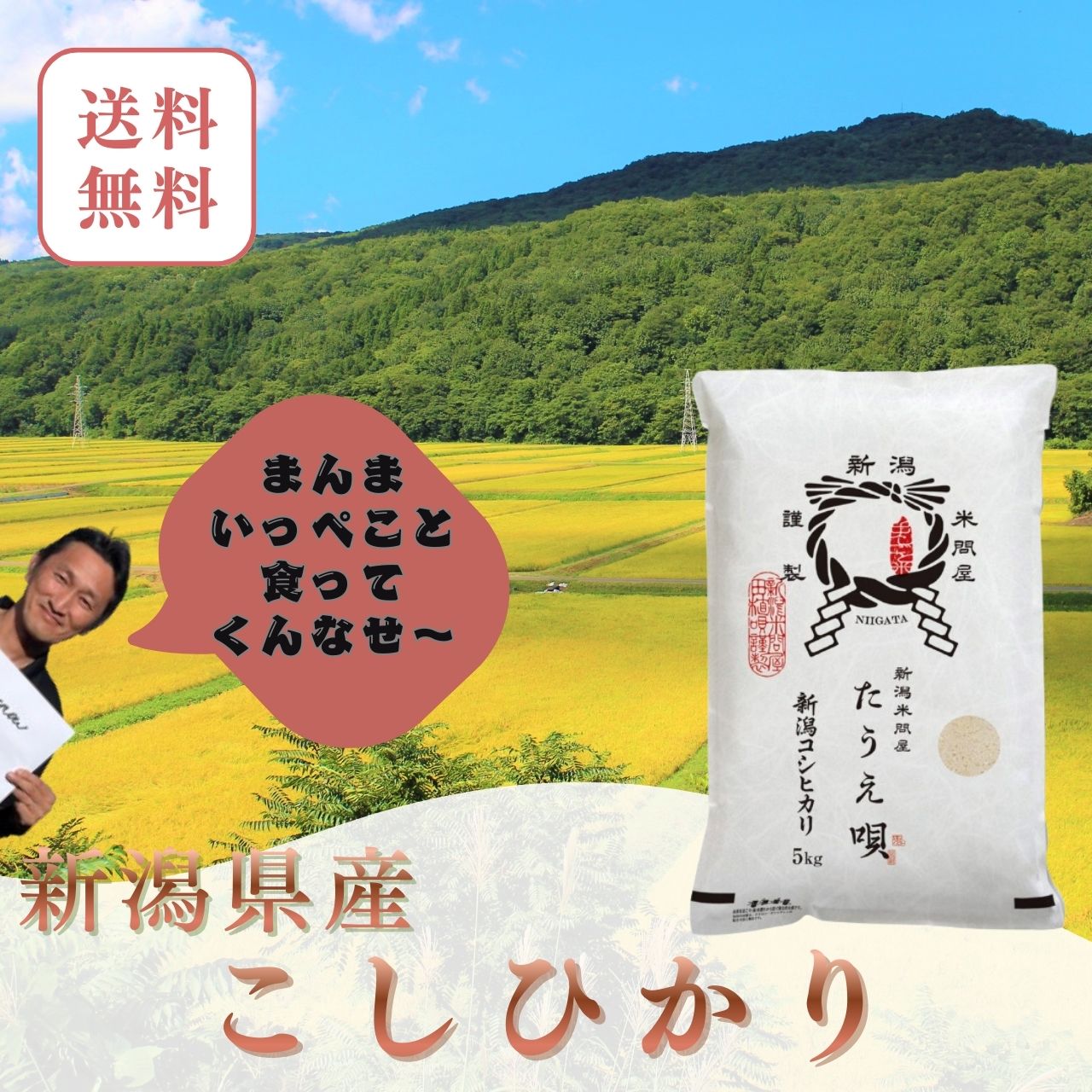 令和6年度新潟産コシヒカリ5kg×6 【公式通販】