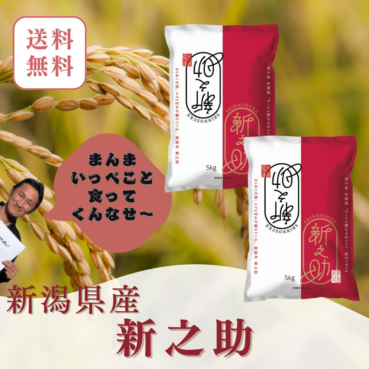 楽天市場】新之助 新米 10kの通販
