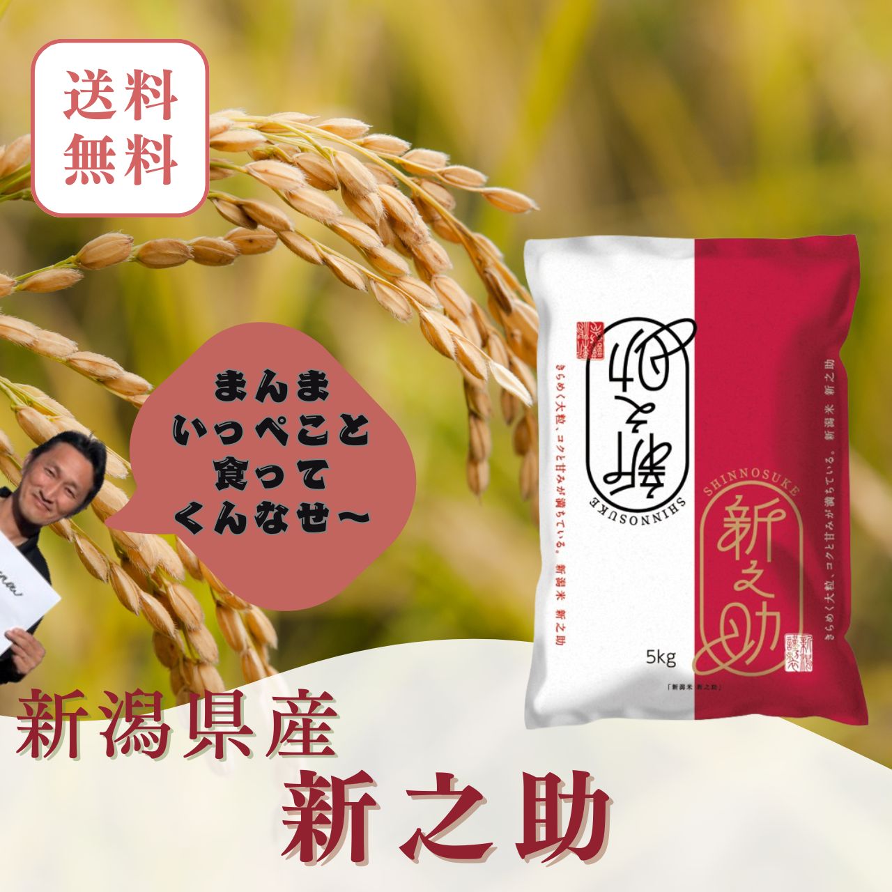 新潟県産 新之助 米 白米 5kg　五つ星米マイスター厳選 新潟米 国産米　お米 精米 ブランド米 高級米 ギフト 贈答用...