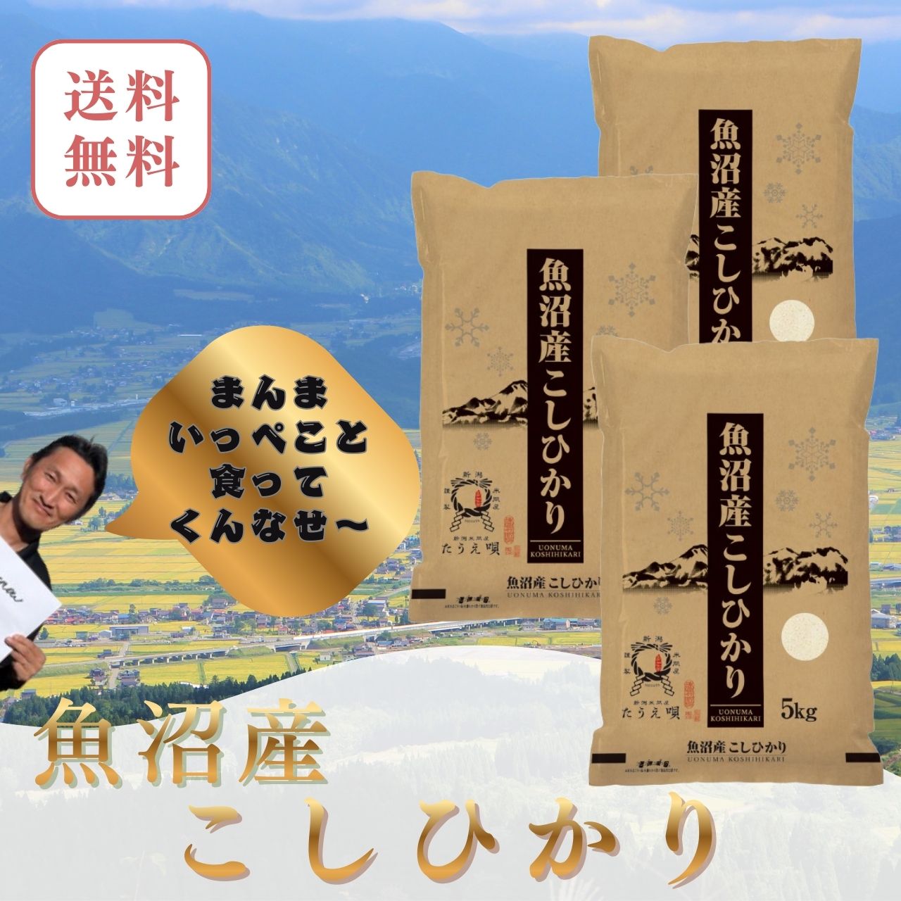 楽天市場】コシヒカリ15kgの通販