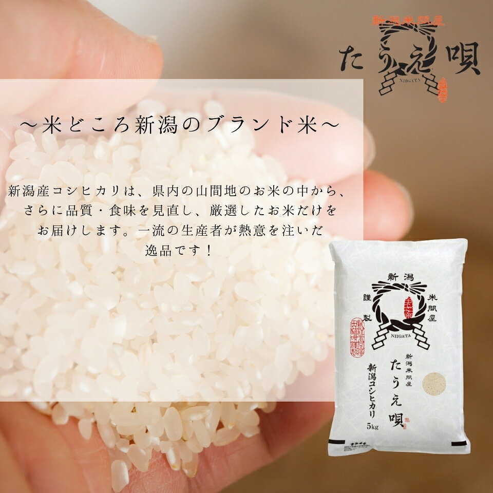 SALE中　米　新潟産こしひかり　20kg（5kg×4） 送料無料　【令和7年産】【メーカー直送】米/こめ/ギフト/プレゼント 贈り物　新潟　産直 こしひかり　特価　白米　精米　美味しいお米　新潟産米 taueuta-10000078 新潟米問屋「たうえ唄」 サンプル画像2