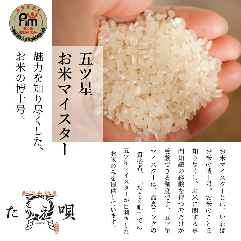 サンプル画像3