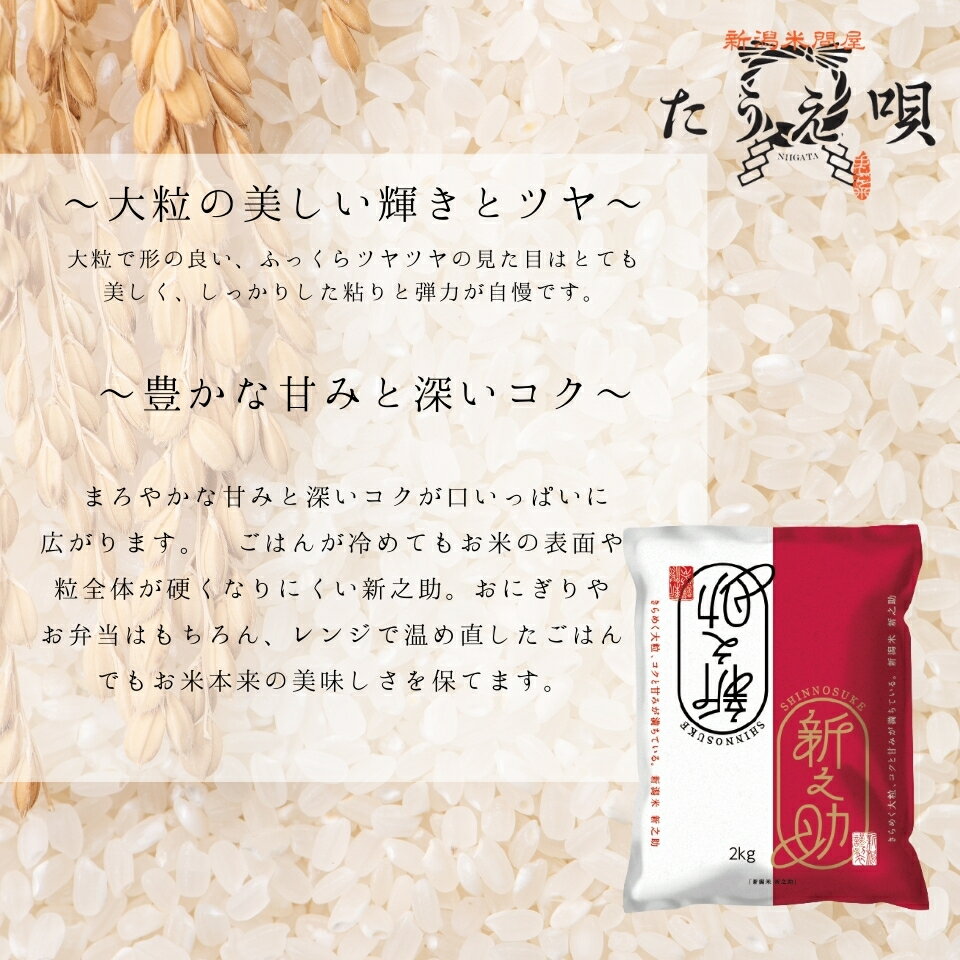 新潟米　食べ比べセット 2kg×2　 送料無料 令和5年産 新潟産コシヒカリ 2kg（精米）/新潟県産新之助　2kg（精米）コシヒカリ 米/こめ ギフト 贈り物　お米ギフト