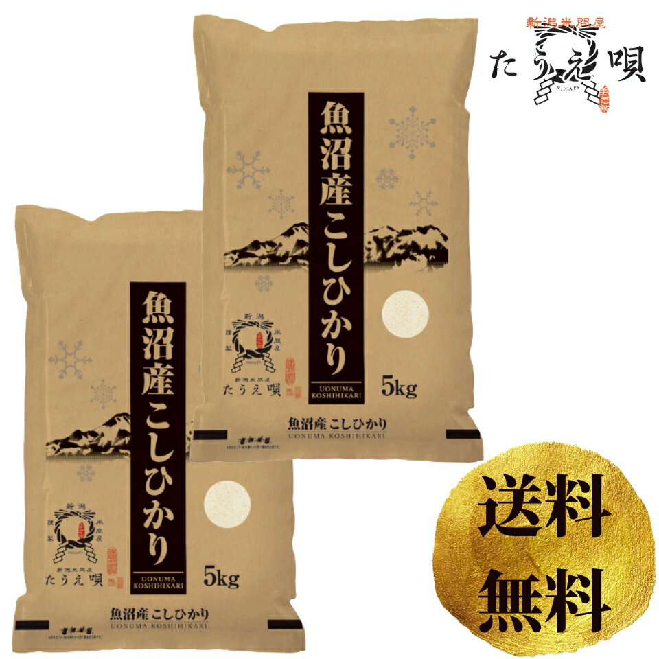 魚沼産コシヒカリ 魚沼産こしひかり　10kg（5kg×2）　10キロ　送料無料　令和5年産　期間限定　お米/米　ブランド米　新潟から産直販売/直送【お祝/ギフト】　10kg　精米【安心安全米】父の日　母の日