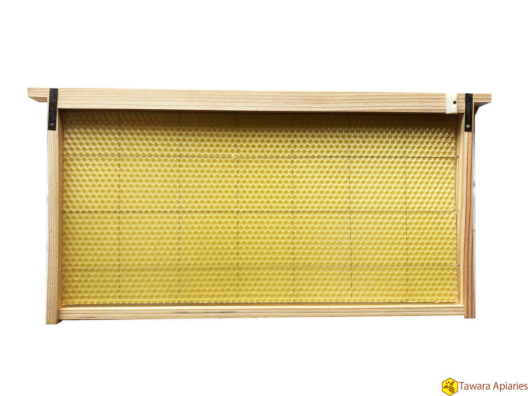 ダニ対策用雄蜂巣礎　完成巣枠1組　ラ式