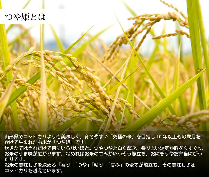 【白米】令和7年山形県産特別栽培米つや姫 25kg(5kg×5)【自社精米工場直送】【特A...