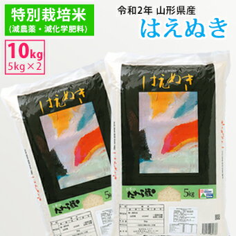 【農薬・化学肥料5割減】令和3年産山形県産特別栽培米はえぬき 精米10kg(5kg×2)【一等米】