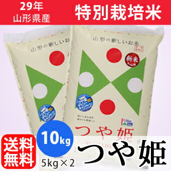 【白米】29年山形県産特別栽培米つや姫 10kg(5kg×2)【精米工場直送】【送料無料】