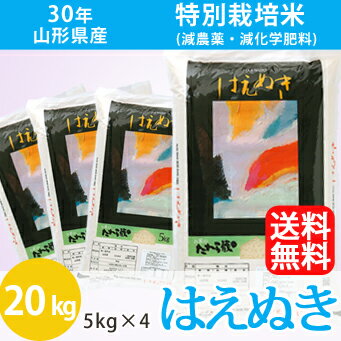 【送料無料】【農薬・化学肥料5割減】30年産山形県産特別栽培米はえぬき 精米20kg(5kg×4)【一等米】