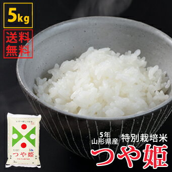 【白米】令和5年山形県産特別栽培米つや姫 5kg【自社精米工場直送】【特A・一等米】【送料無料】のサムネイル